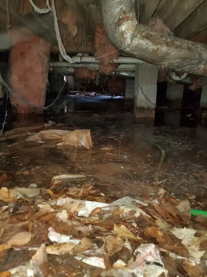 Crawl space flood assessment for Leak Detection & Repair in Monessen